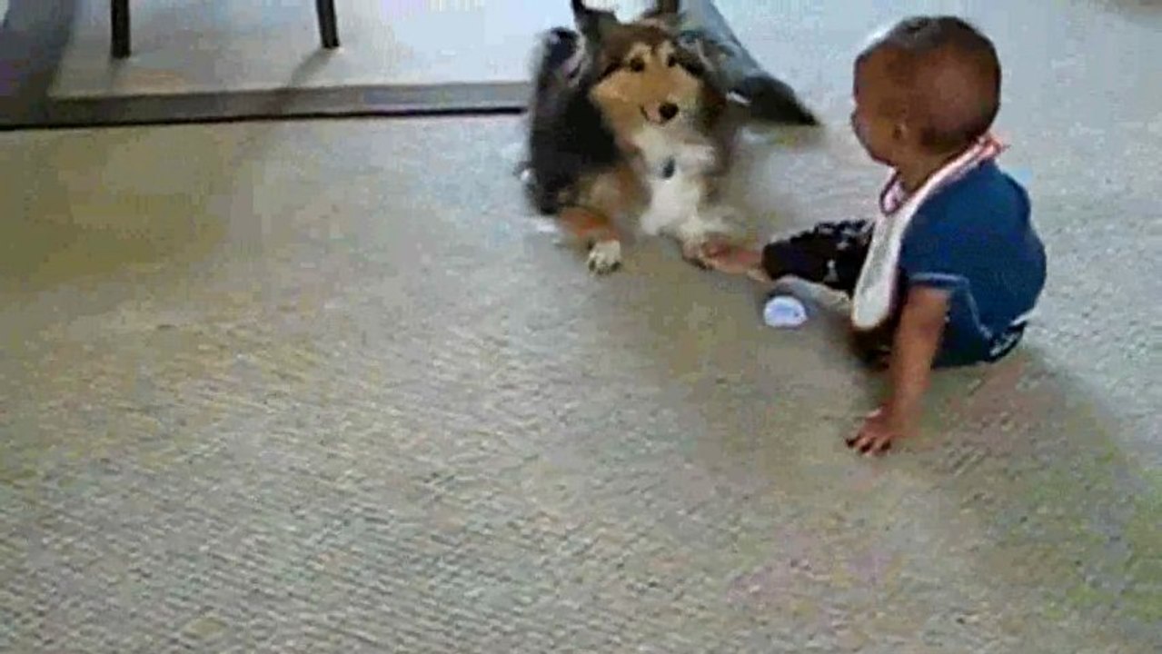 Lassie Makes Baby Stan To Laugh (HD 2013)