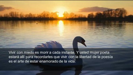 Cartas a una Mujer Poeta