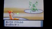 Pokemon Pearl; Gym Leader Battle #2
