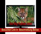 Grundig 32 VLC 6110 C 81 cm (32 Zoll) LCD-Fernseher, Energieeffizienzklasse C (Full-HD, 100Hz PPR, DVB-T/C, CI+) schwarz glänzend