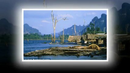 Enjoy Last Night Freedom before Marriage by Buck’s Party