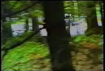 Compétitions automobiles par MickeyOne