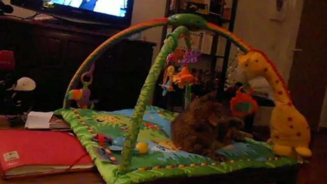 bébé Gribouille et le tapis d'éveil