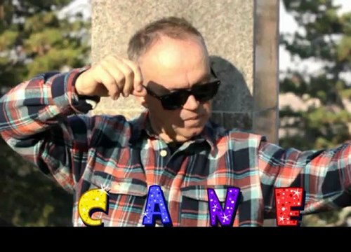 CANE NIKOLOVSKI - SI ZALJUBIV EDNO MOME