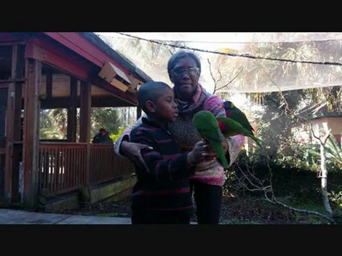 TVC Matrix: Motor Club of America Pays Stay at Home Dads