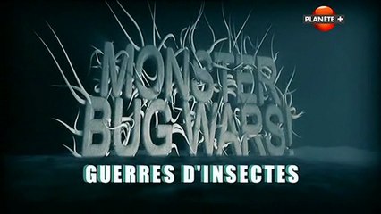 guerres d'insectes -  ep6 et fin