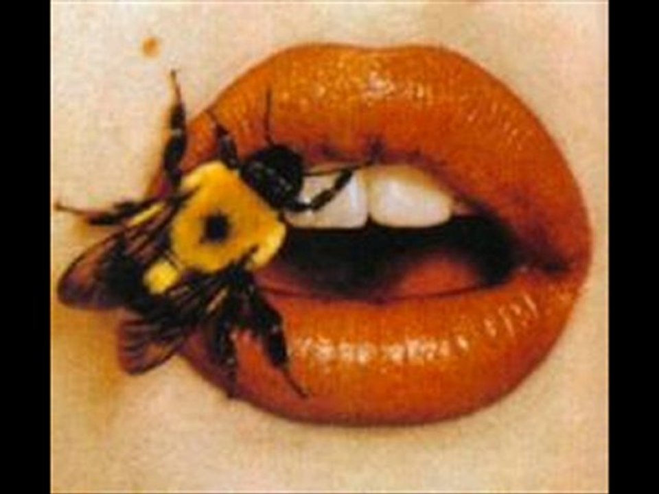 Louise (Thomas Fersen Cover) - Banjo Version