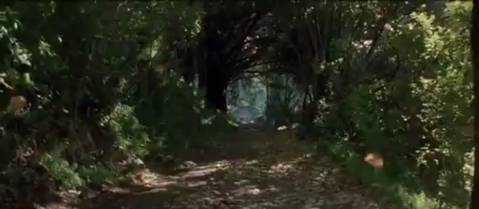 C2 - dolly zoom 1