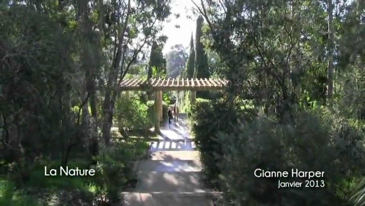 Gianne HARPER - artiste peintre - paysage réaliste - la Nature