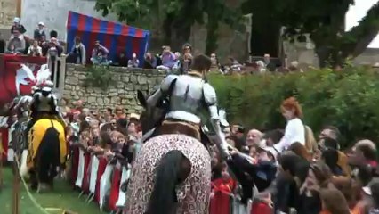 Les Ecuries Royales du Château du Rivau