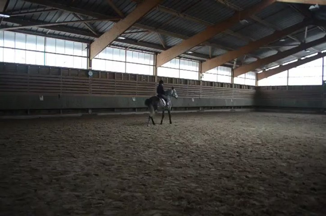 Cession au trot cela commence à venir