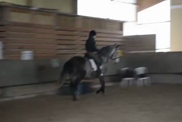 galop à juste deux mains bien