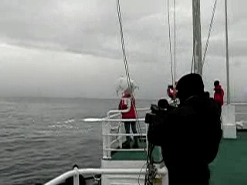 antarctique-premier-iceberg