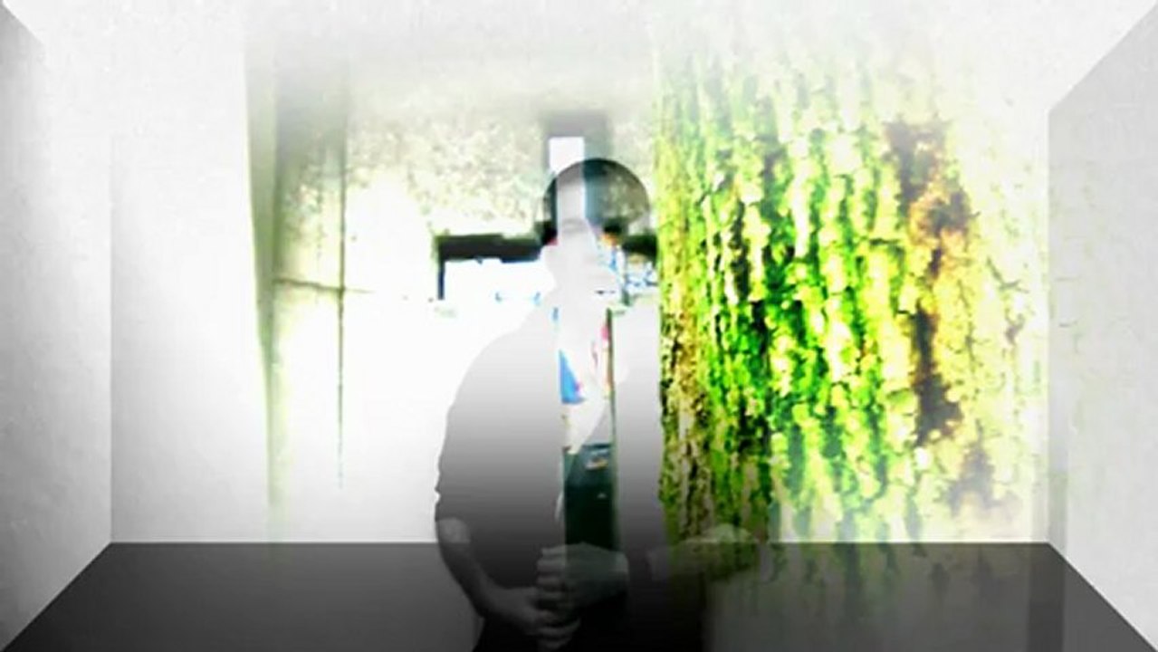 prophet / PROTESTSOUND