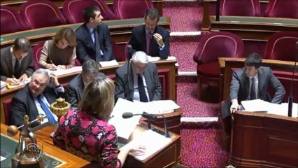 Débat sur la police municipale au Sénat le jeudi 24 janvier 2013
