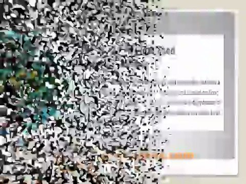 Food Dehydrator Reviews - Top 10 Food Dehydrators