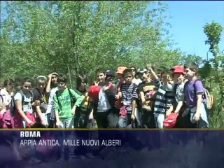 Appia Antica, mille nuovi alberi