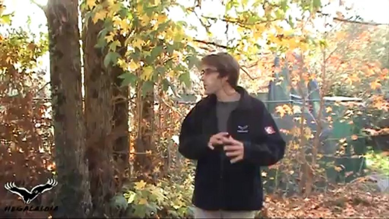 Reportage Hegalaldia