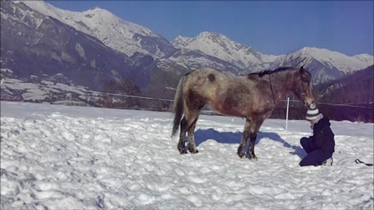 Tanit travail à pied