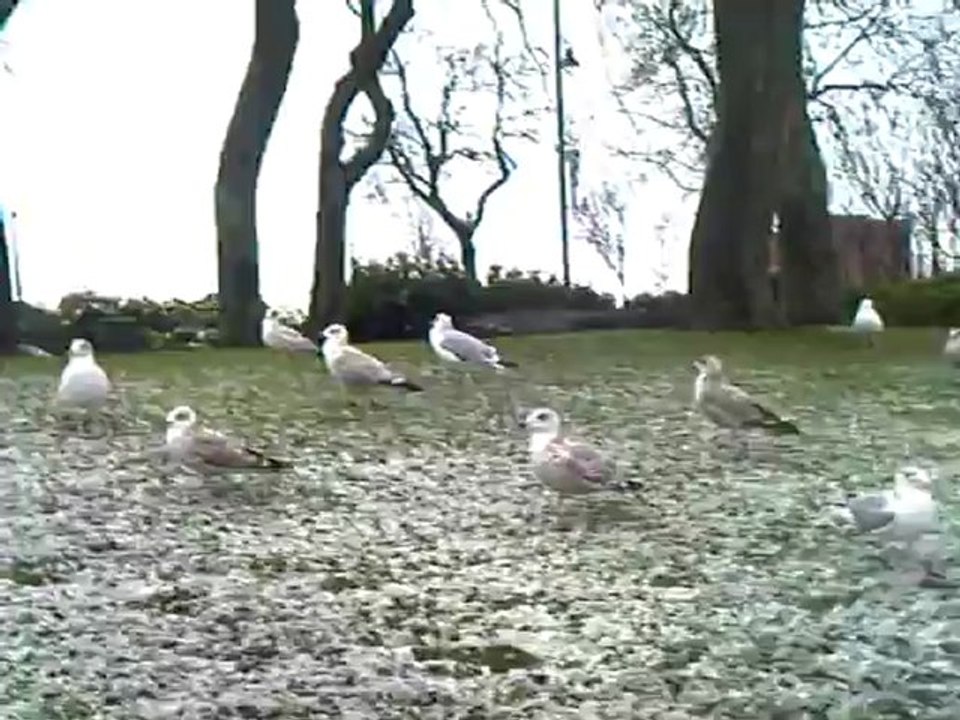 CLIP0503