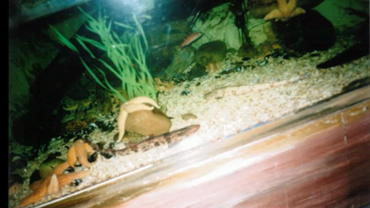 fotos 2