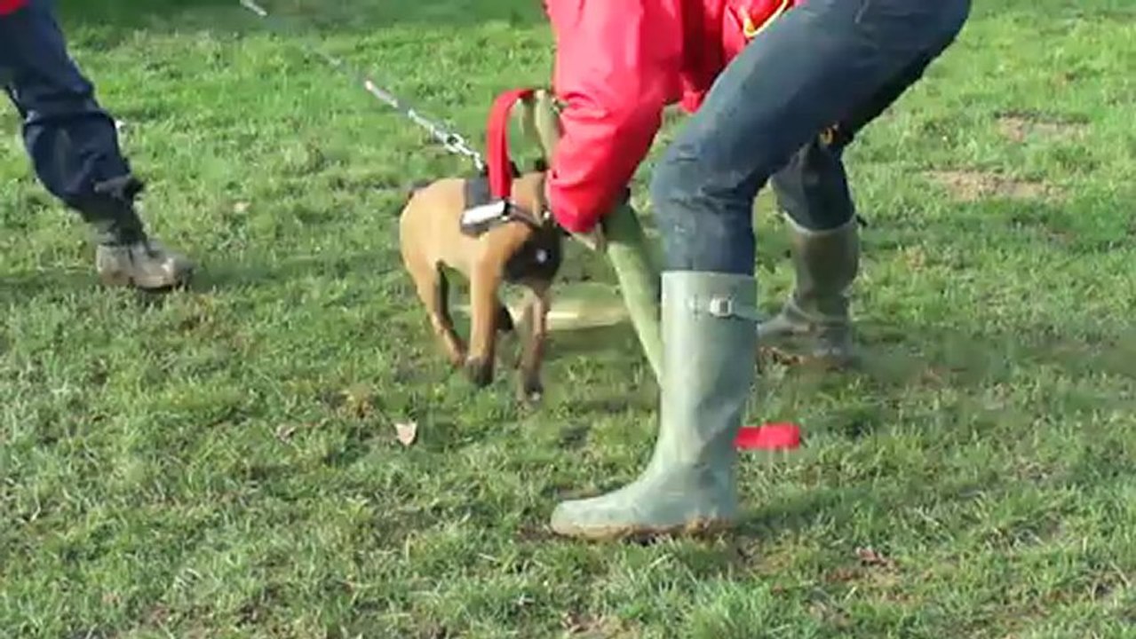 Hellboy du Domaine des Eclaireurs le 25 janvier 2013