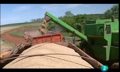 Guerra soja Cap I Paraguay