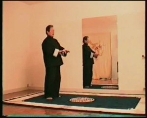 KUNG-FU TAO DU DU TIGRE VOLANT