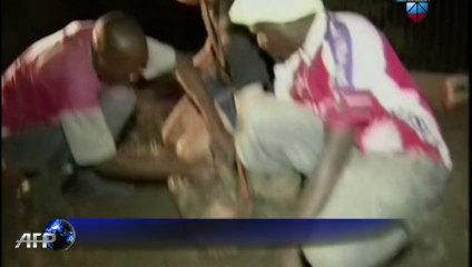 Fuga de cocodrilos en Sudáfrica