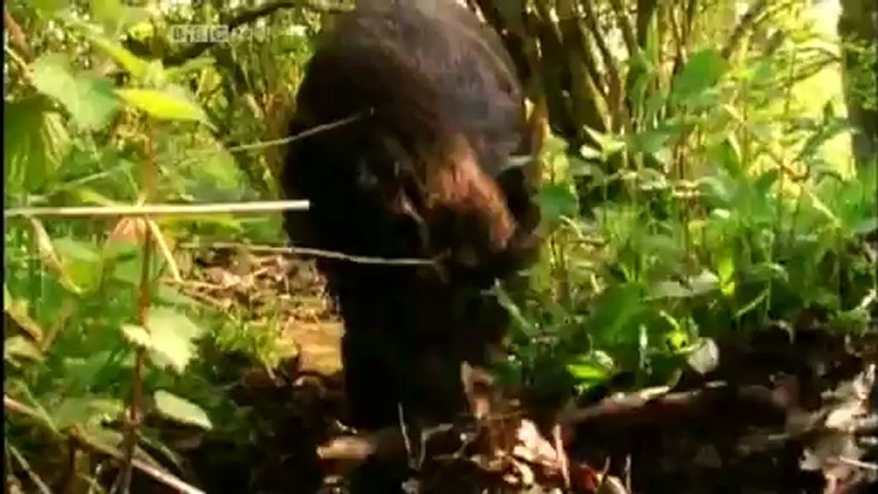 Light the Universe and Everything(Light Fantastic) ep4