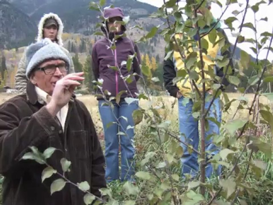 permaculture1