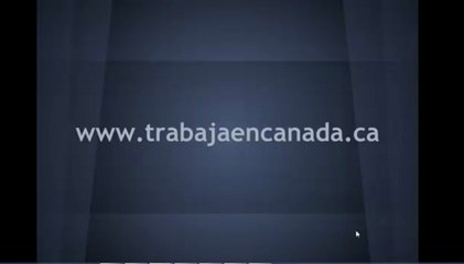 4 areas fundamentales de conocimiento