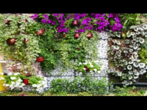 Jardinero Cubelles - Cunit - Calafell - Vendrell - Olivella - Vilafranca - Vilanova - Mantenimiento de Jardines y Piscinas - Limpieza de Parcelas - Neteja - Canyelles - Penedès - Garraf