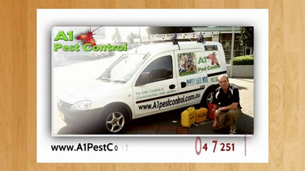 Lane Cove Pest Control | Call 0417 251 911