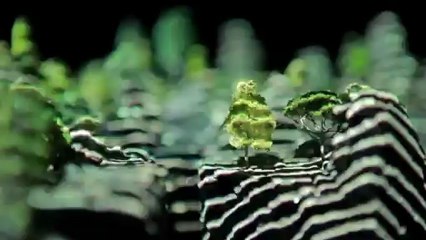 Yeti Lane - Analog Wheel