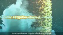 Mehr Erfolg durch ebook downloads