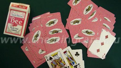 MARKED-CARDS-READER-Bee-cards-red-краплеными карты