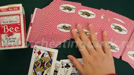 MARKED-CARDS-READER-Bee-marked-cards-краплеными карты