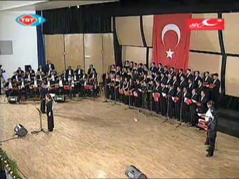 Aysun Gültekin, Yemen bizim neyimize