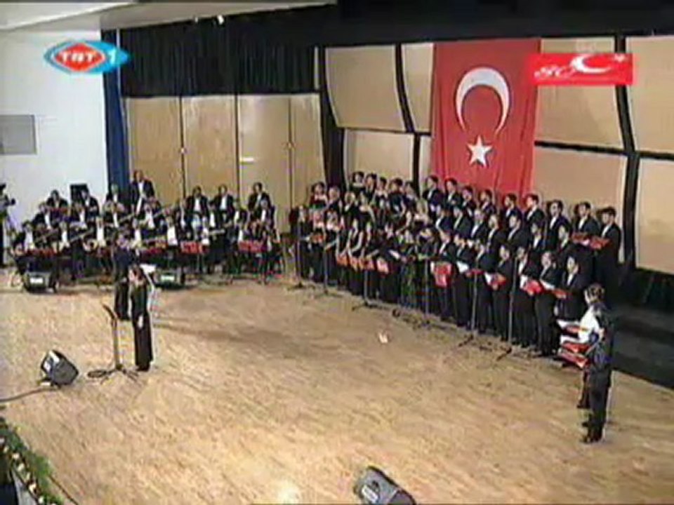 Aysun Gültekin, Yemen bizim neyimize