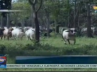 Celebran conversaciones sobre tierras en Colombia