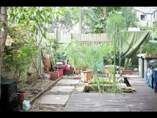 permaculture design course