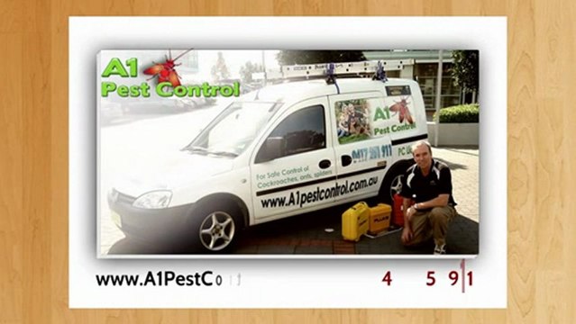 Castle Hill Pest Control | Call 0417 251 911