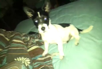 video-2012-01-20-00-25-58