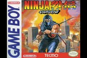 Ninja Gaiden III: The Ancient Ship of Doom Game Review (Nes/Wii)
