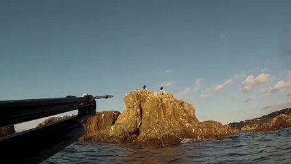 sortie chasse sous marine du 25/01/13