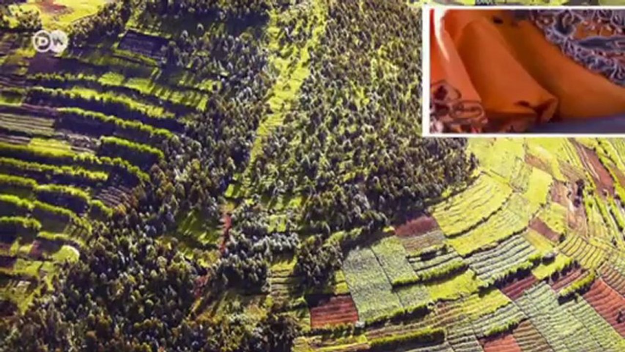 Dokumentationen und Reportagen | Im Focus