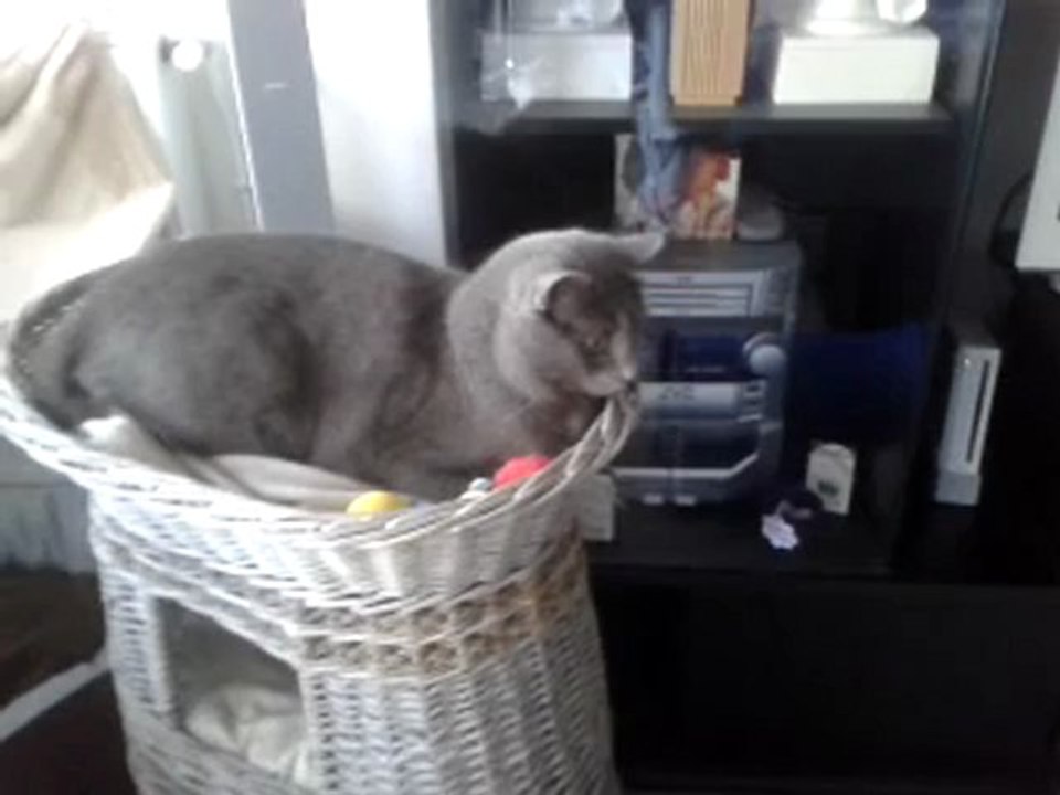 video-2013-01-25-16-00-02