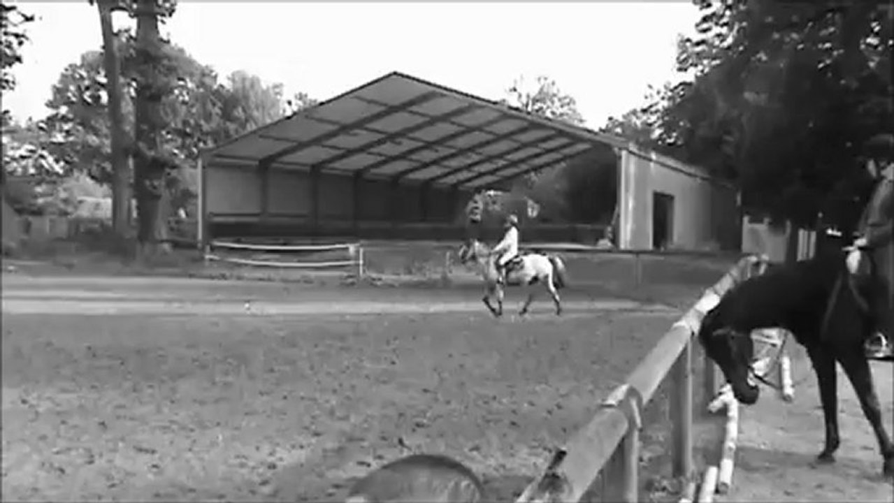 - Pourquoi? - Pourquoi veux-tu tellement retourner te battre?