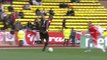 AS Monaco FC (ASM) - EA Guingamp (EAG) Le résumé du match (22ème journée) - saison 2012/2013